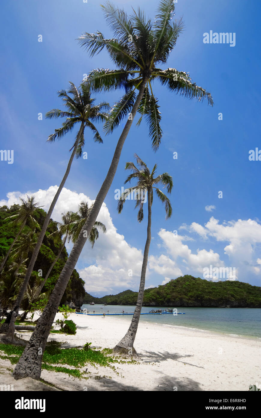 Tropical thai beach hi-res stock photography and images - Alamy
