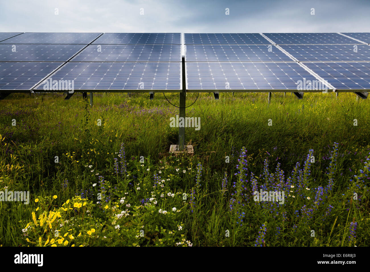 Power plant using renewable solar energy Stock Photo - Alamy