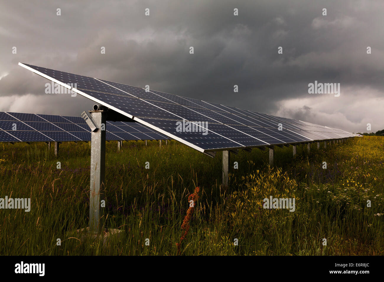 Power plant using renewable solar energy Stock Photo - Alamy