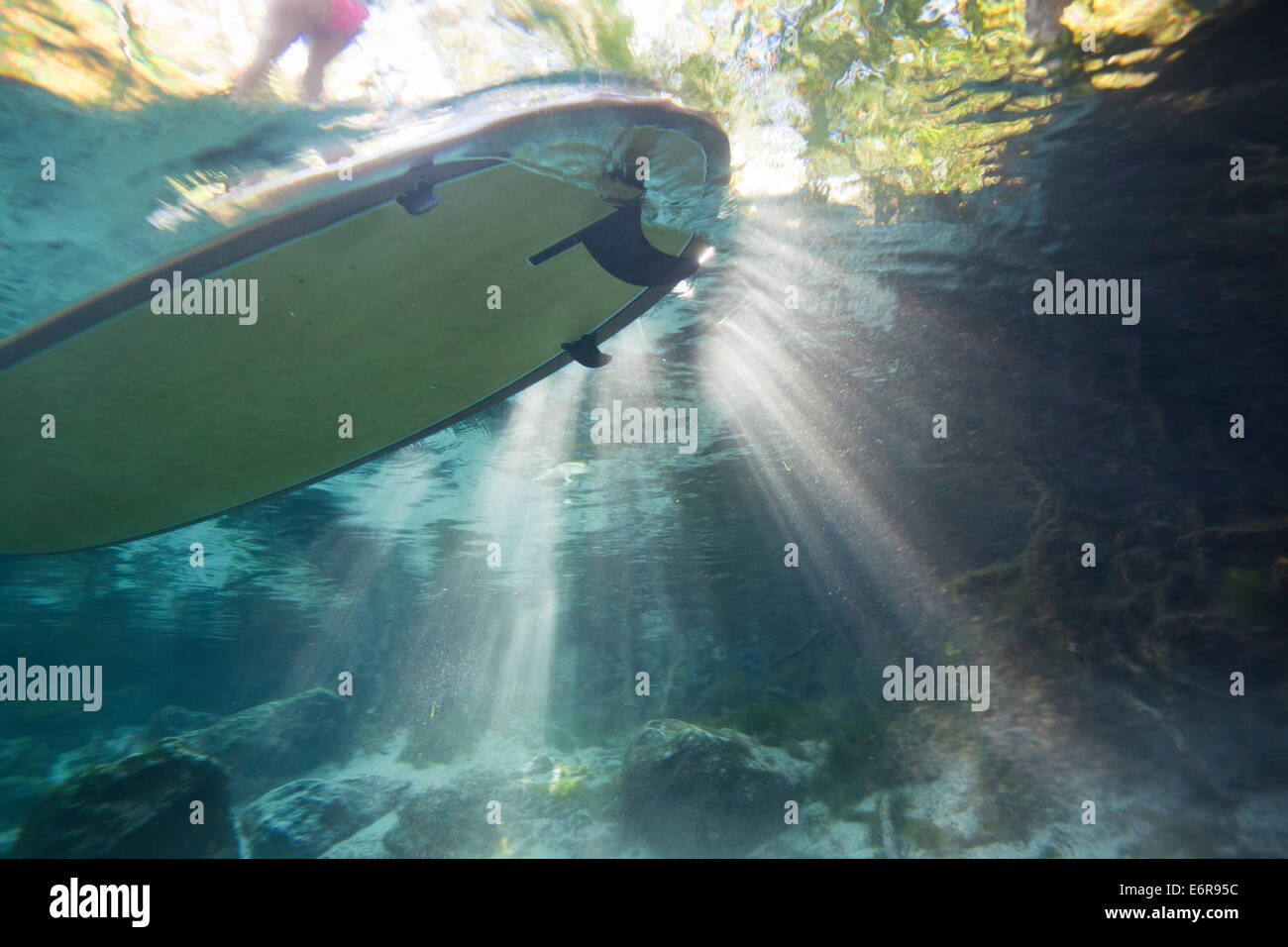 Underwater Image with the photographer looking up at the stand up paddle board on the surface in crystal clear water Stock Photo