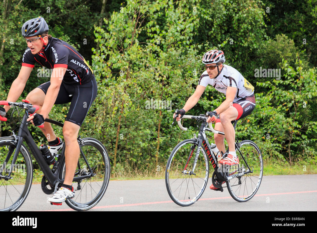 Men racing in a local bike race organised by British Cycling at Fowlmead Country Park, Deal, Kent, England, UK, Britain Stock Photo