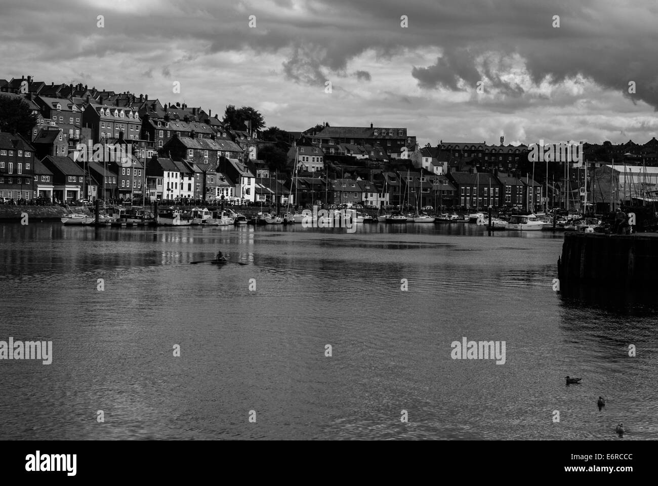 Rowing through Whitby harbour Stock Photo