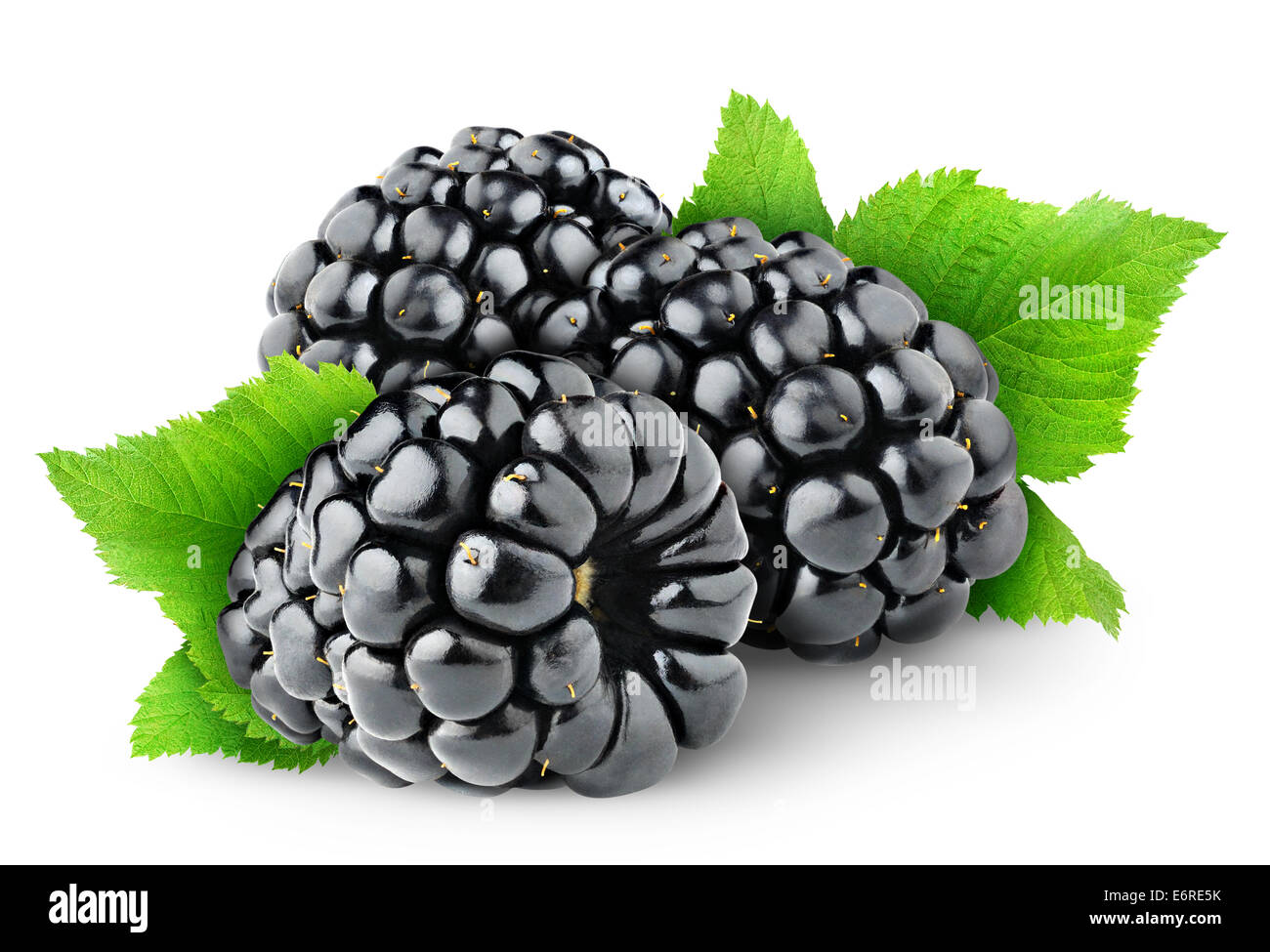 Fresh blackberries on white background Stock Photo