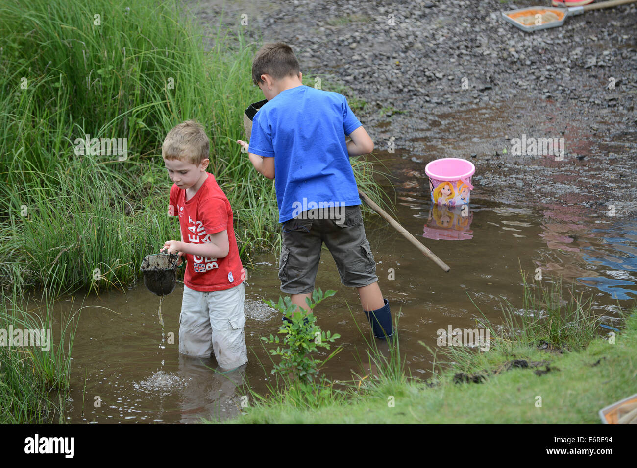 Children child pond dipping Uk Stock Photo