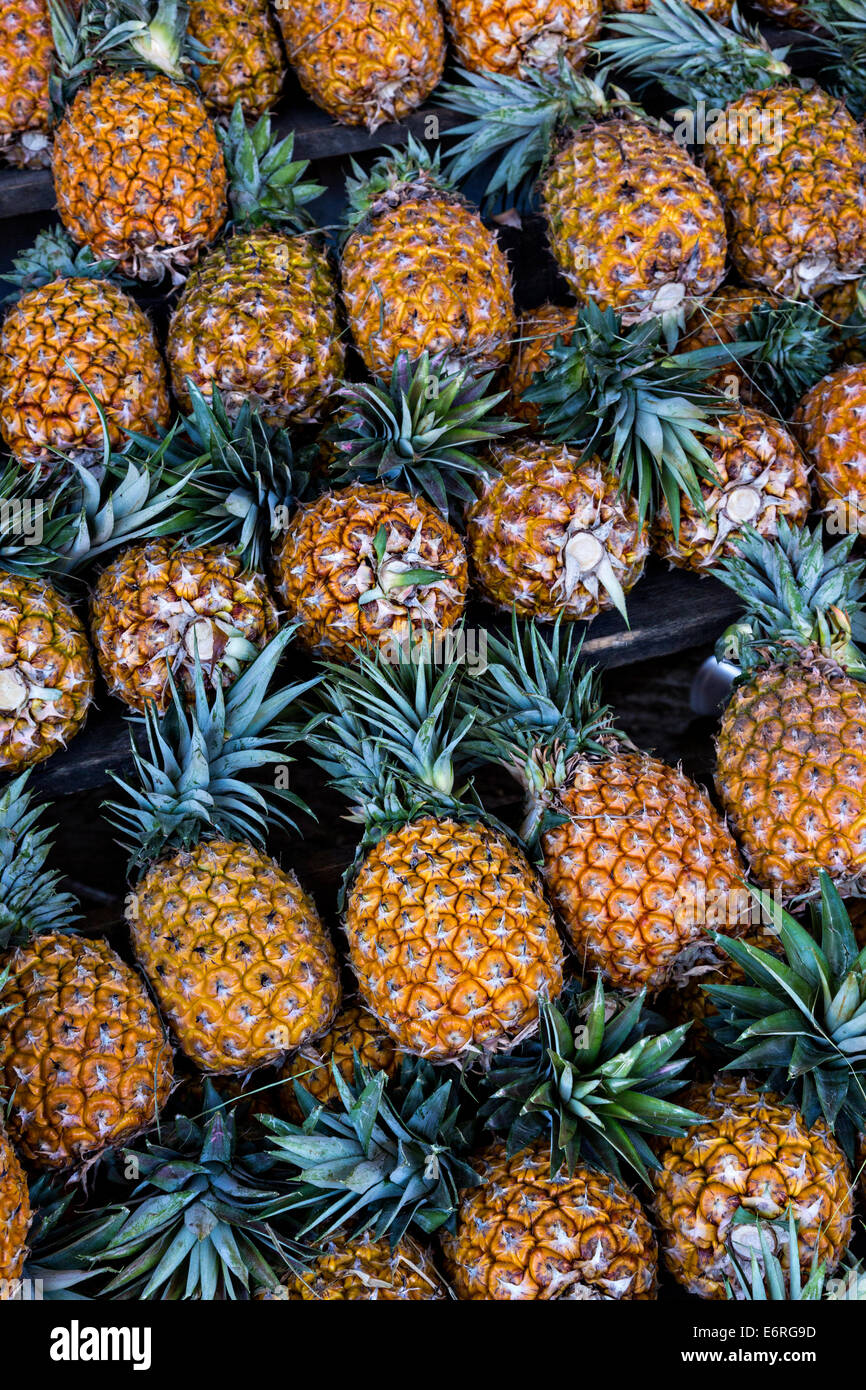 Pineapples at Benito Juarez market in Oaxaca, Mexico Stock Photo Alamy