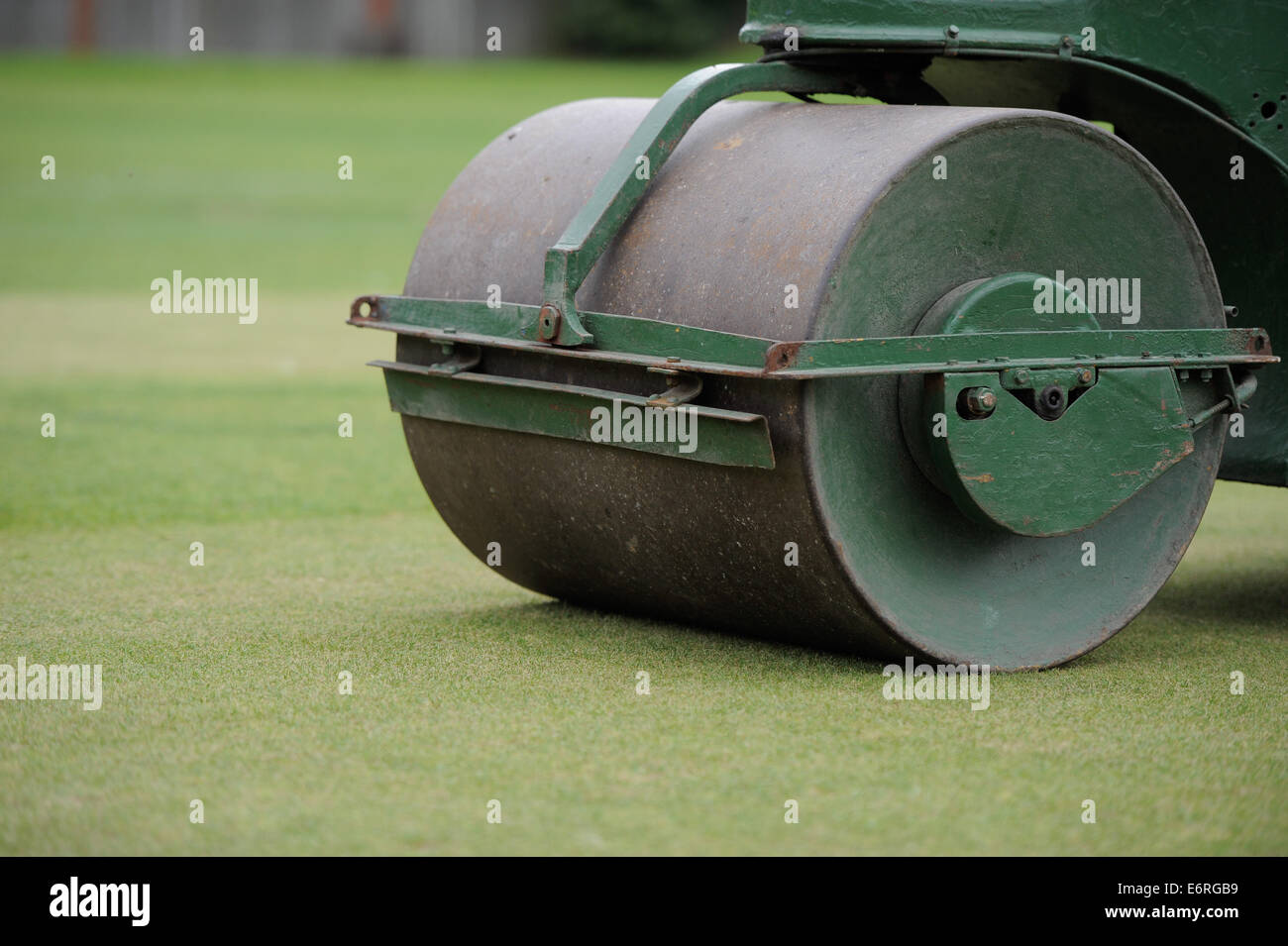Rolling grass on a cricket pitch,using a motorized sit on roller Stock Photo Alamy