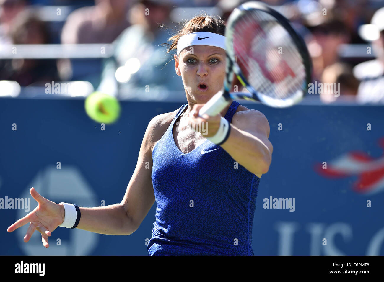 Flushing Meadows, New York, USA. 29th Aug, 2014. US Open tennis championships. Lucie Safarova (Cze) Credit:  Action Plus Sports/Alamy Live News Stock Photo