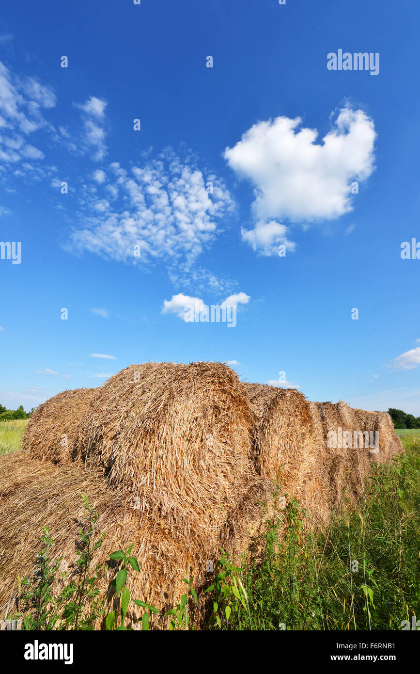 Beautiful summer landscape with hay bales and blue sky - Poland Stock ...