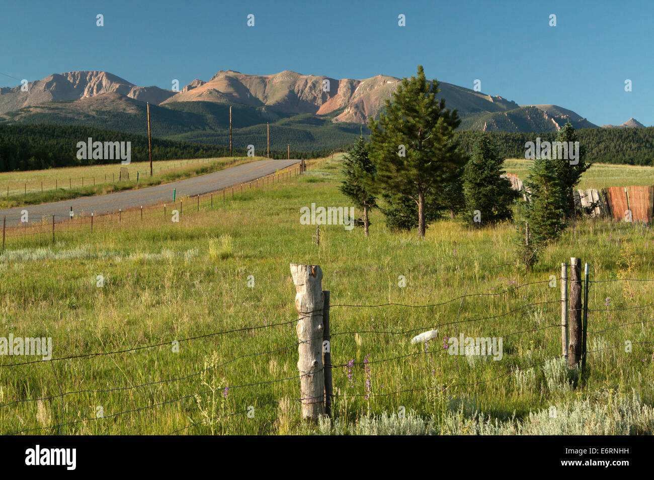 Golden, early morning light glows on the north slope of Pikes Peak from a viewpoint just west of Woodland Park, Colorado, USA Stock Photo