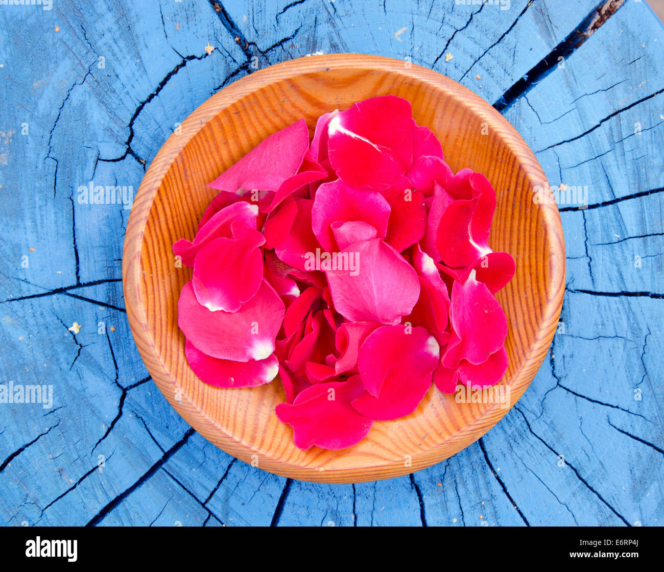 fresh summer rose petal in wooden plate Stock Photo