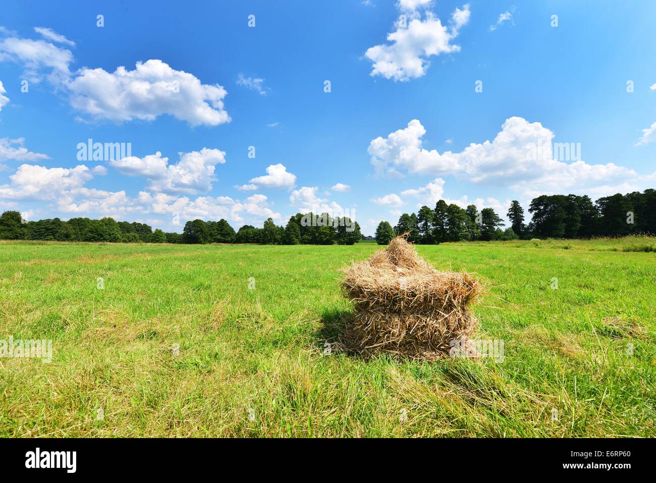Summer landscape with haystack and blue sky Stock Photo - Alamy