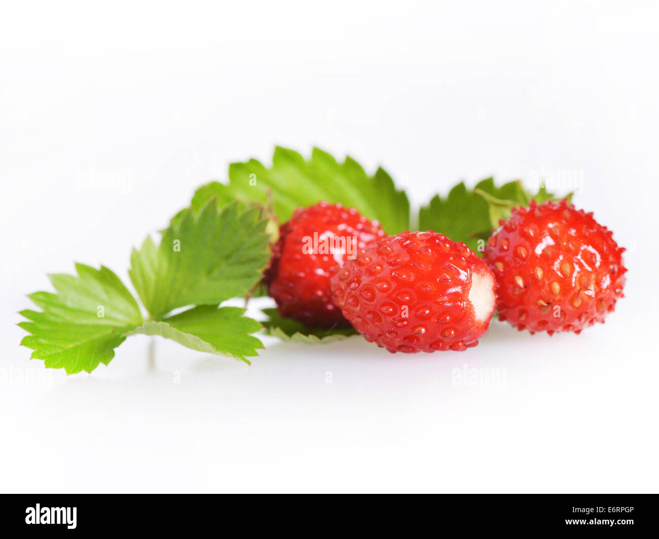 Red tasty wild strawberries Cut Out Stock Images & Pictures - Alamy