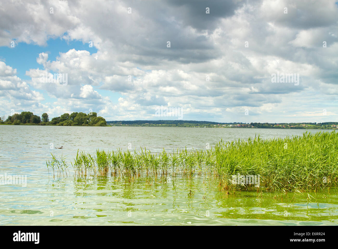 Woods hi res hi-res stock photography and images - Alamy