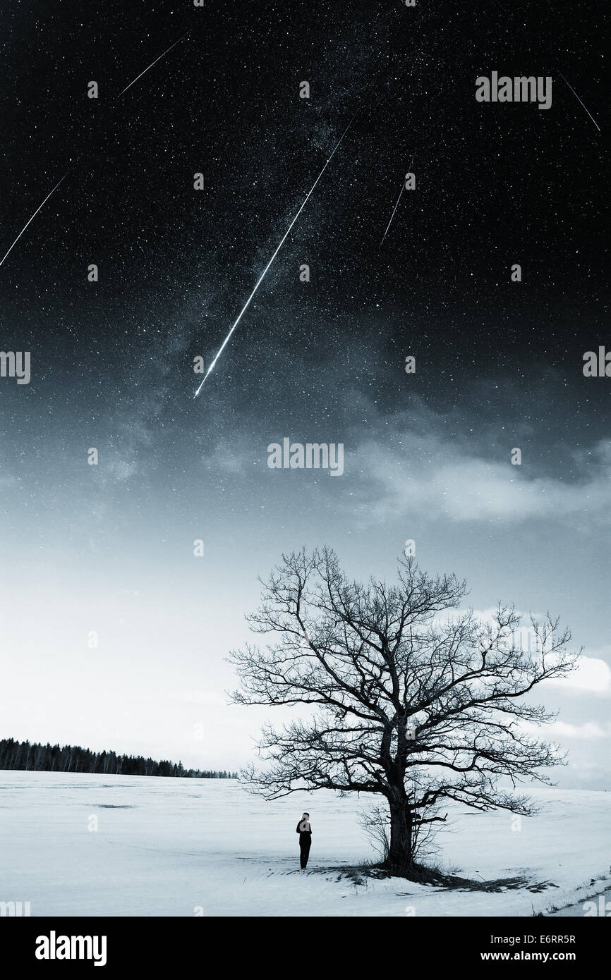 Object - Objhope S/L Top - 5004261 Winter Sky main image 1