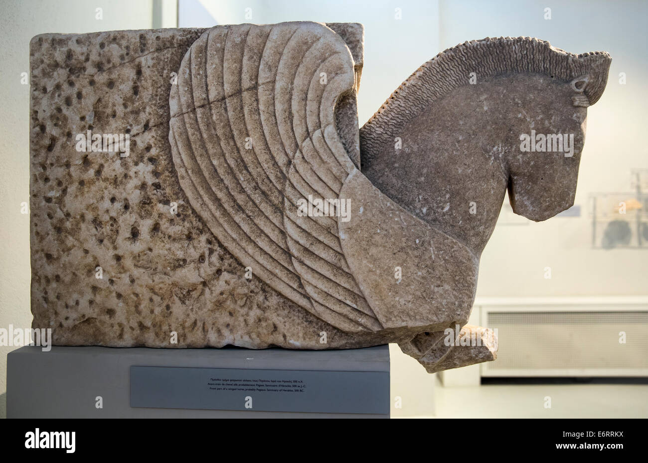 Front part of a winged horse (probably Pegasus) 500 BC. Found at the Sanctuary of Heracles, Thasos. Stock Photo