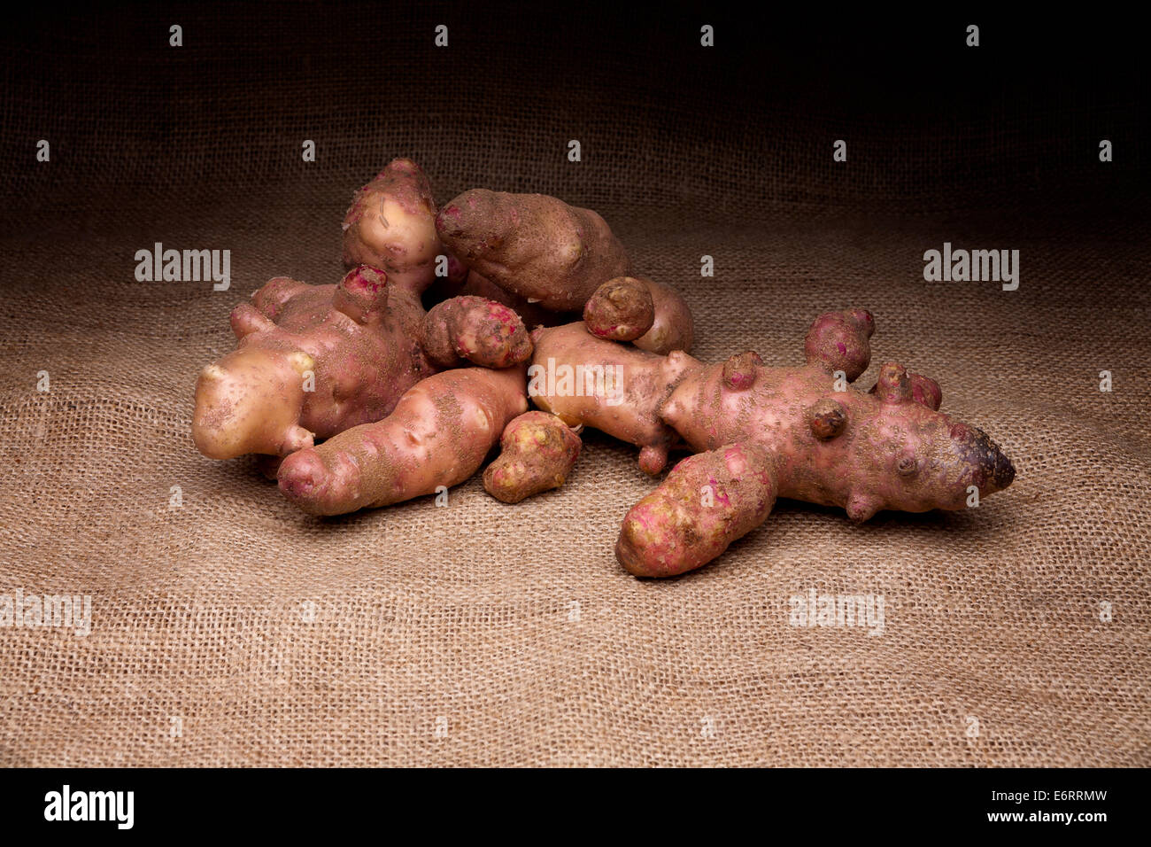 A studio shot of a few pink fir apples on a canvas background Stock Photo