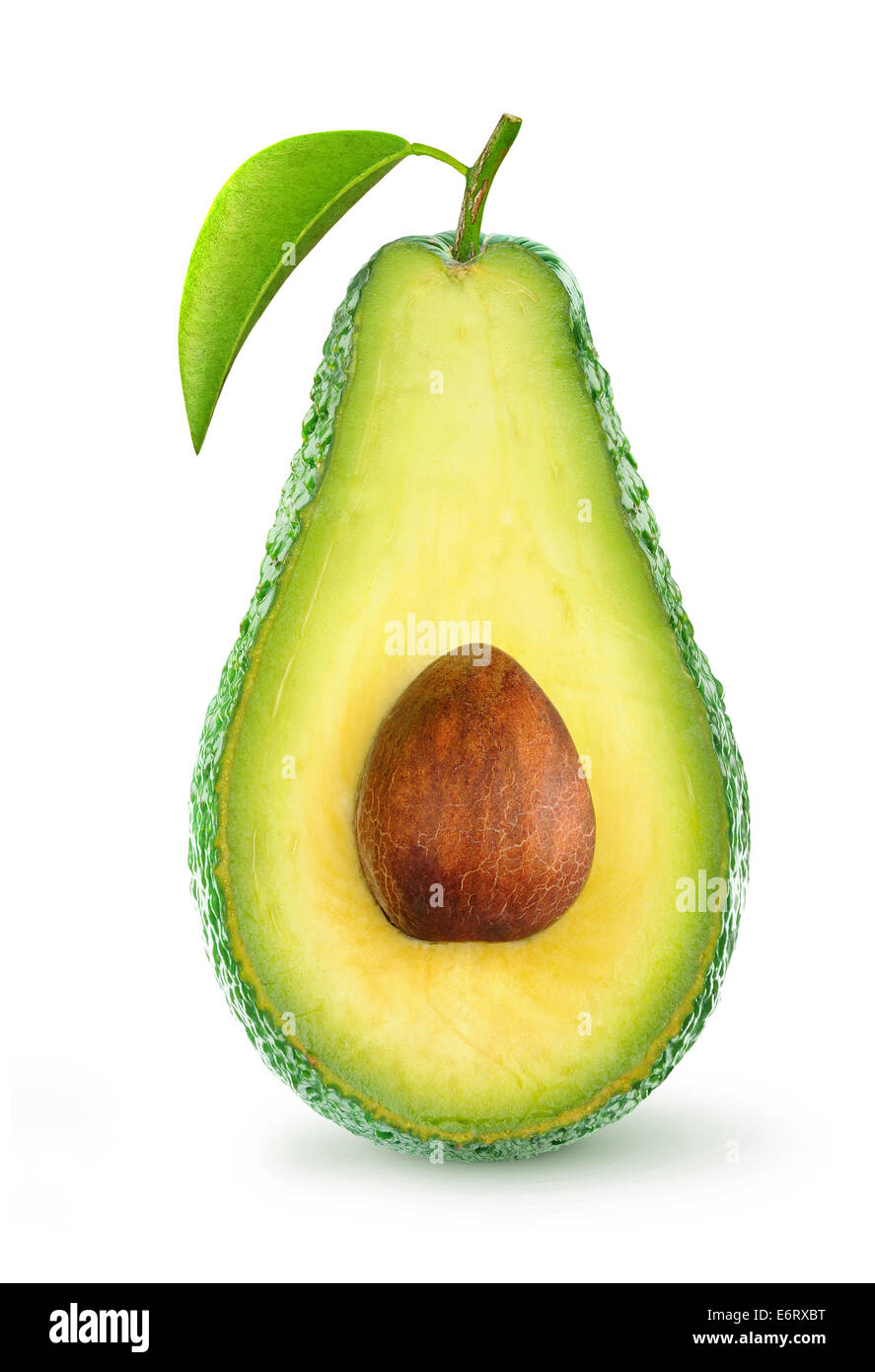 Single ripe avocado fruit isolated hires stock photography and images