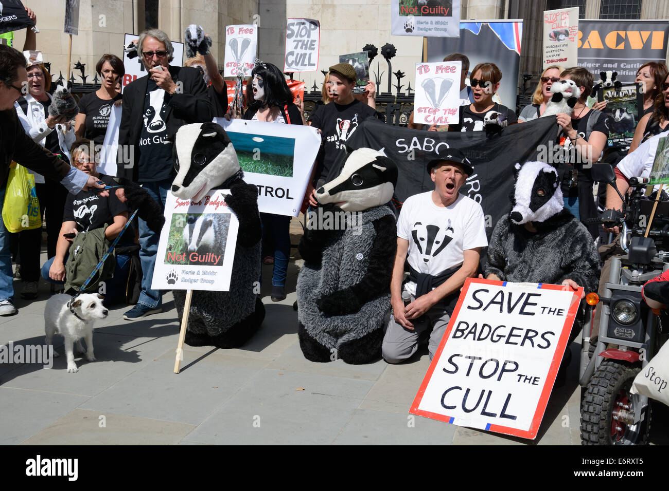 Badger Cull Protest, Royal Court, London, England. Stock Photo