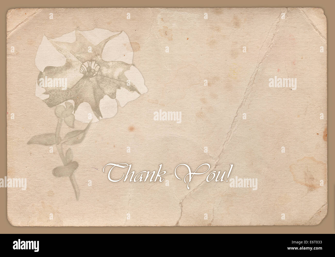 grunge background with a flower Stock Photo - Alamy