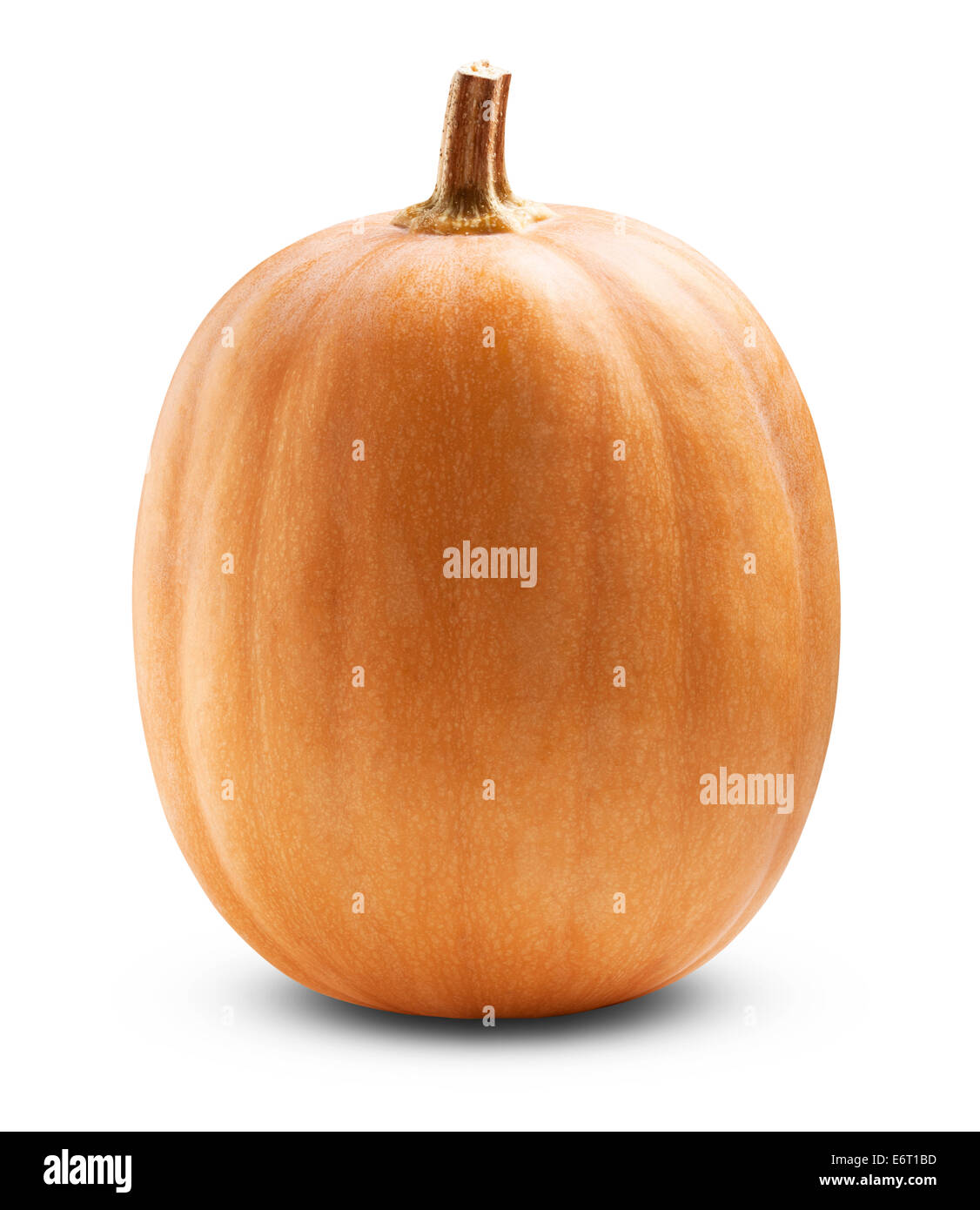 Big pumpkin on a white background. Clipping Path Stock Photo