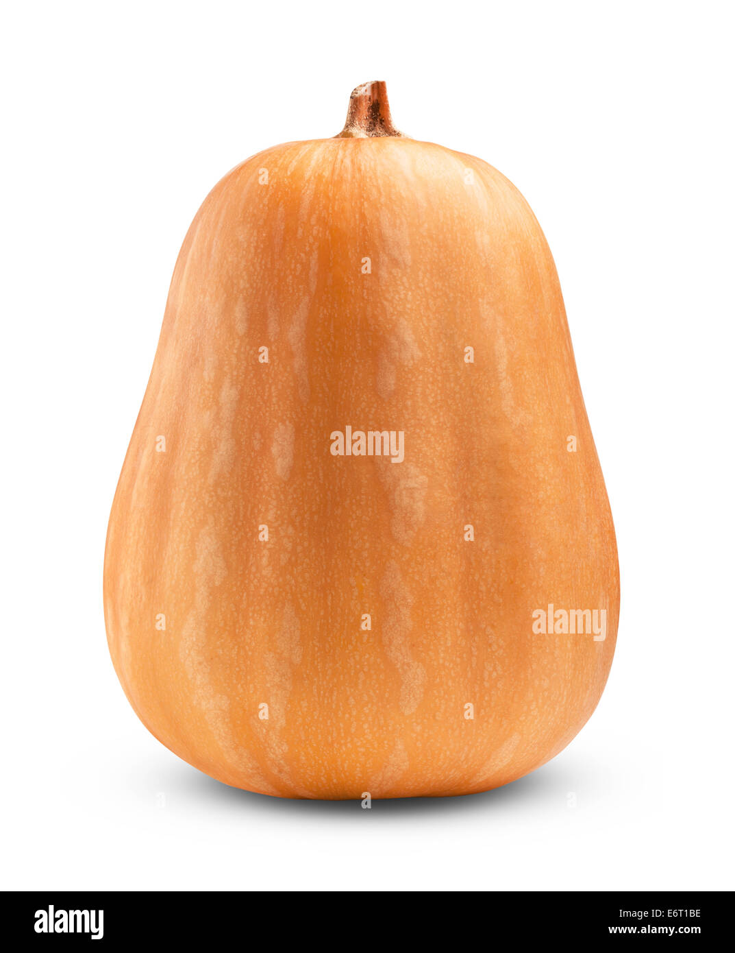 Big pumpkin on a white background. Clipping Path Stock Photo