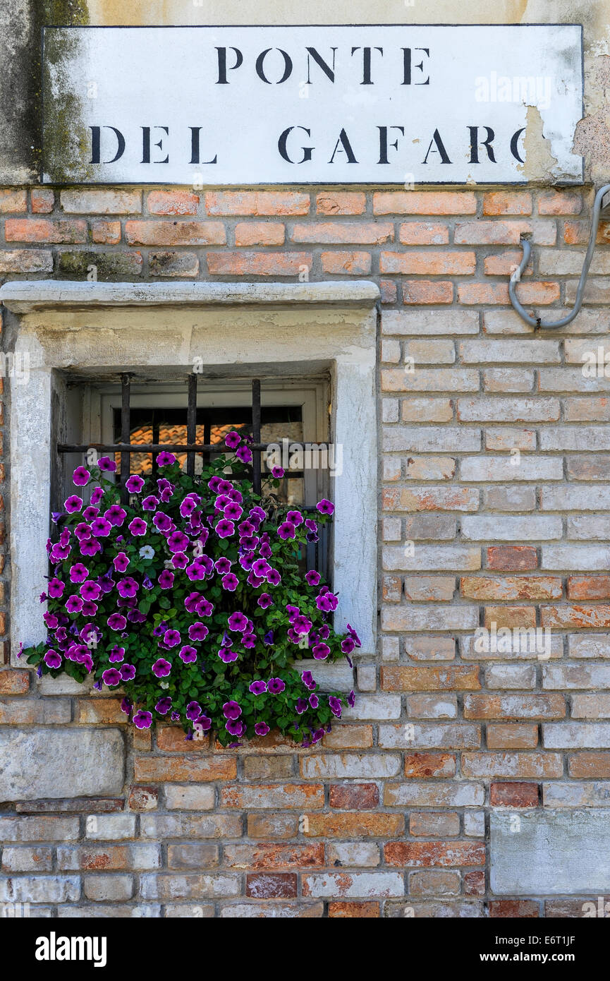 Small purple flowers in a stone framed window and sign to the ponte del gafaro. Stock Photo
