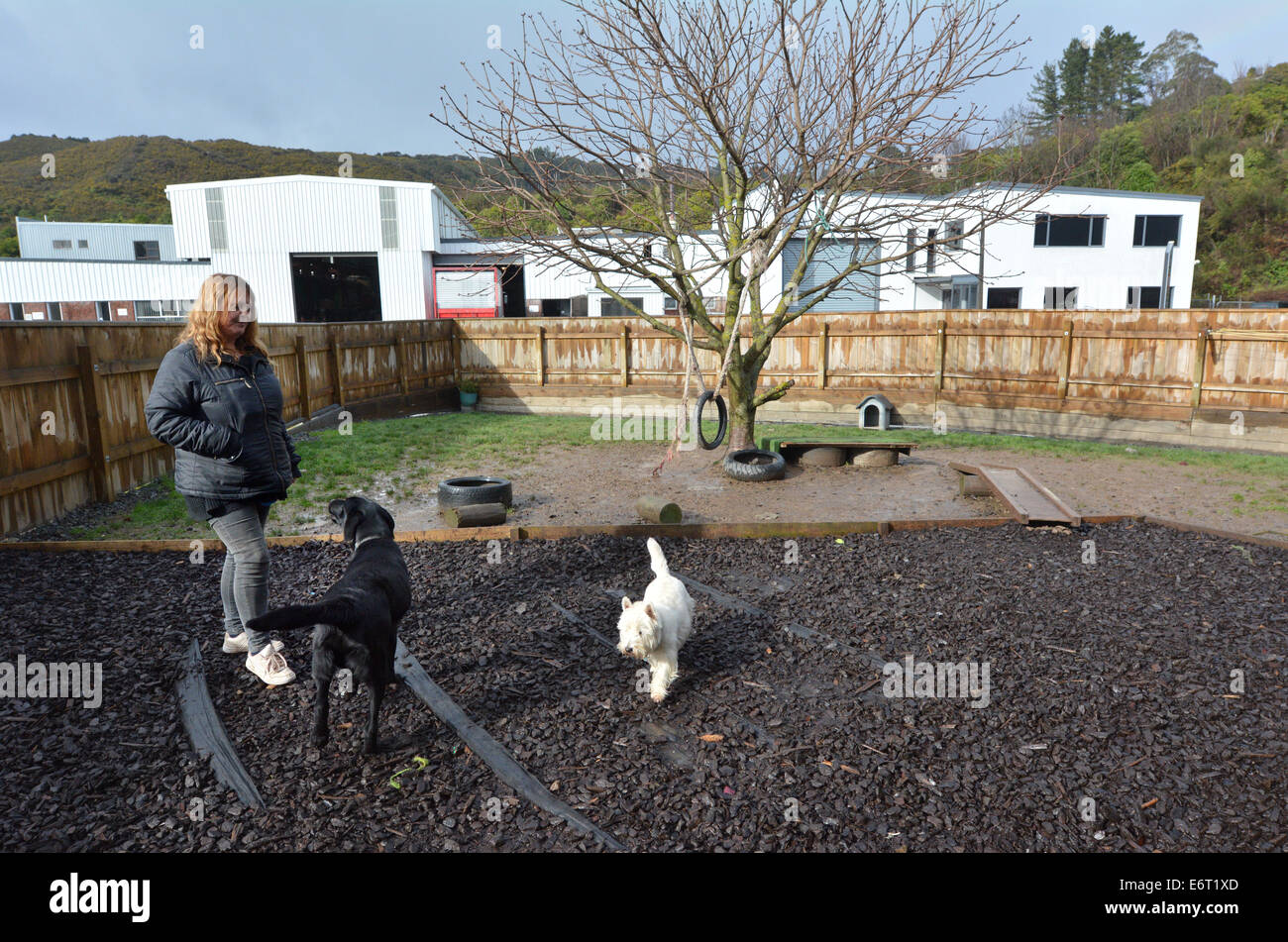 Facility Dog High Resolution Stock Photography and Images Alamy