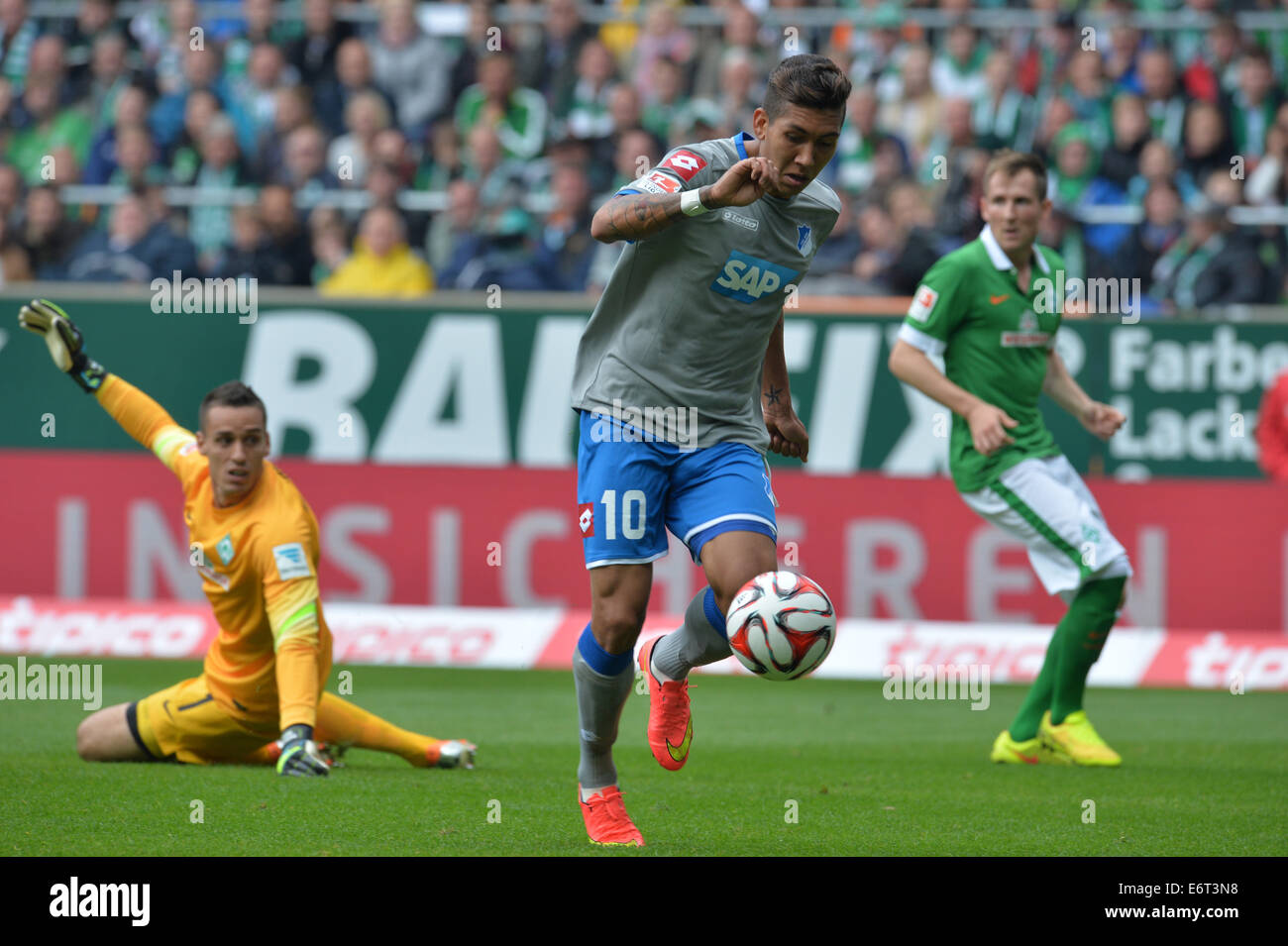 Bremen, Germany. 30th Aug, 2014. Hoffenheim's Roberto Firmino (C) scores 1-0 against Bremen's goal keeper Raphael Wolf (L) and Bremen's Izet Hajrovic (R) during the Bundesliga soccer match between Werder Bremen and TSG 1899 Hoffenheim at Weserstadion in Bremen, Germany, 30 August 2014. Photo: Carmen Jaspersen/dpa (ATTENTION: Due to the accreditation guidelines, the DFL only permits the publication and utilisation of up to 15 pictures per match on the internet and in online media during the match.)/dpa/Alamy Live News Stock Photo