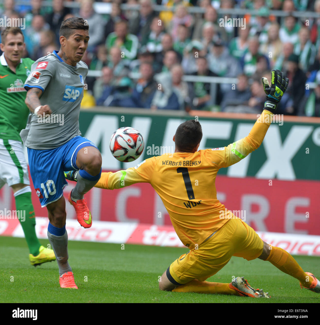 Bremen, Germany. 30th Aug, 2014. Hoffenheim's Roberto Firmino (C) scores 1-0 against Bremen's goal keeper Raphael Wolf (R) and Bremen's Izet Hajrovic (L) during the Bundesliga soccer match between Werder Bremen and TSG 1899 Hoffenheim at Weserstadion in Bremen, Germany, 30 August 2014. Photo: Carmen Jaspersen/dpa (ATTENTION: Due to the accreditation guidelines, the DFL only permits the publication and utilisation of up to 15 pictures per match on the internet and in online media during the match.)/dpa/Alamy Live News Stock Photo