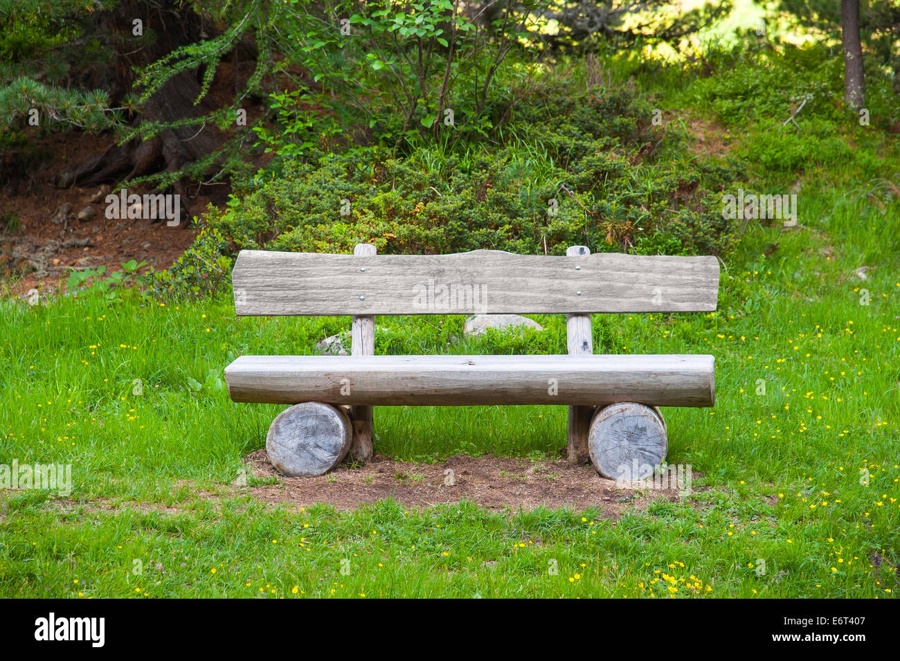 Wooden park bench in nature. A good place to sit Stock Photo