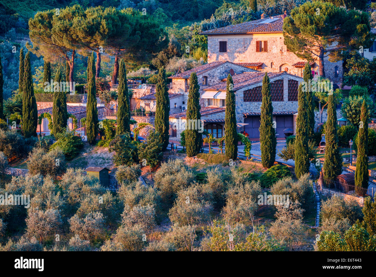 Hause with cypresses and olive trees in San Gimignano, Tuscany, Italy. Stock Photo