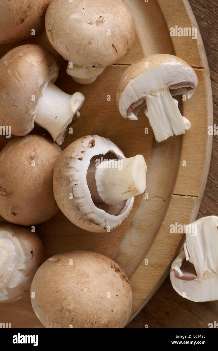 Chestnut Mushrooms also known as Black Poplar mushrooms or Velvet pioppino Stock Photo