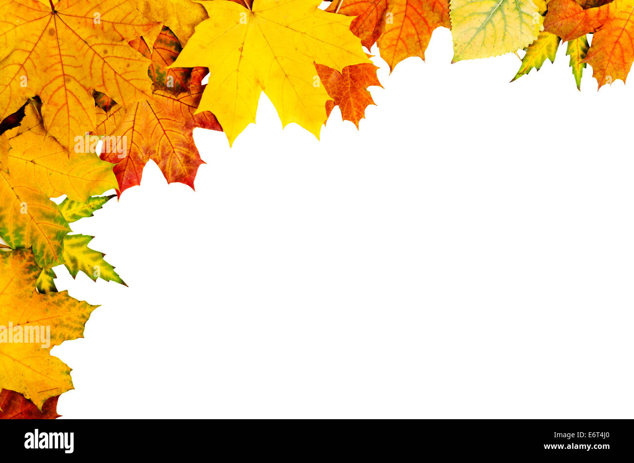 Autumn leaves frame Stock Photo - Alamy