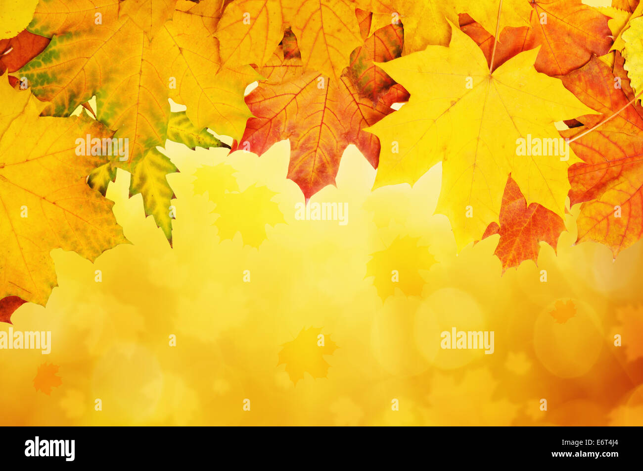 Autumn leaves frame Stock Photo - Alamy