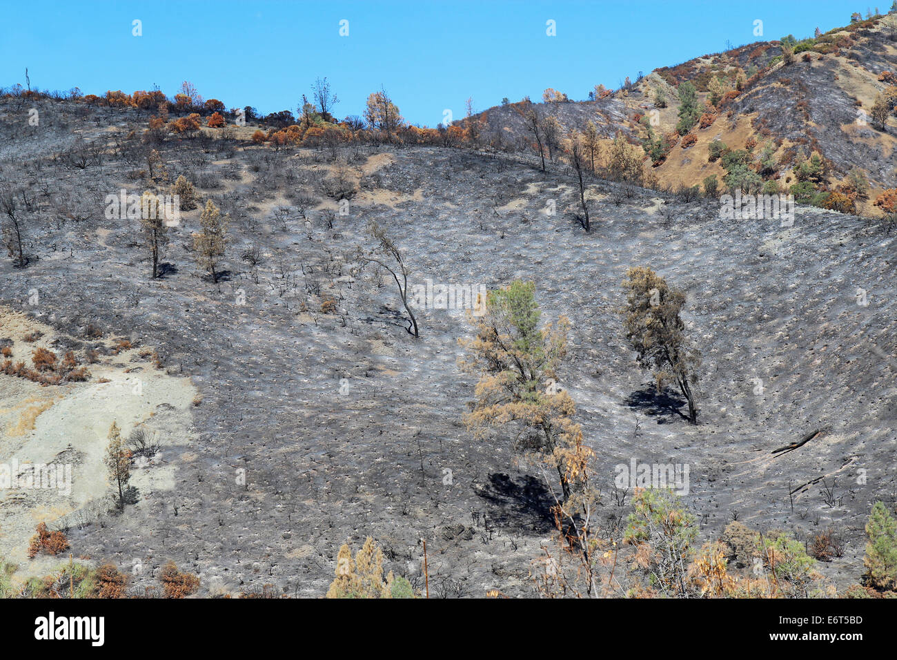 Charred foothills east of Clearlake Oaks, California Stock Photo