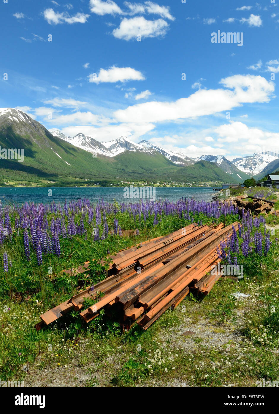 Surplus railway track and wildflowers beside a Norwegian fjord. Stock Photo