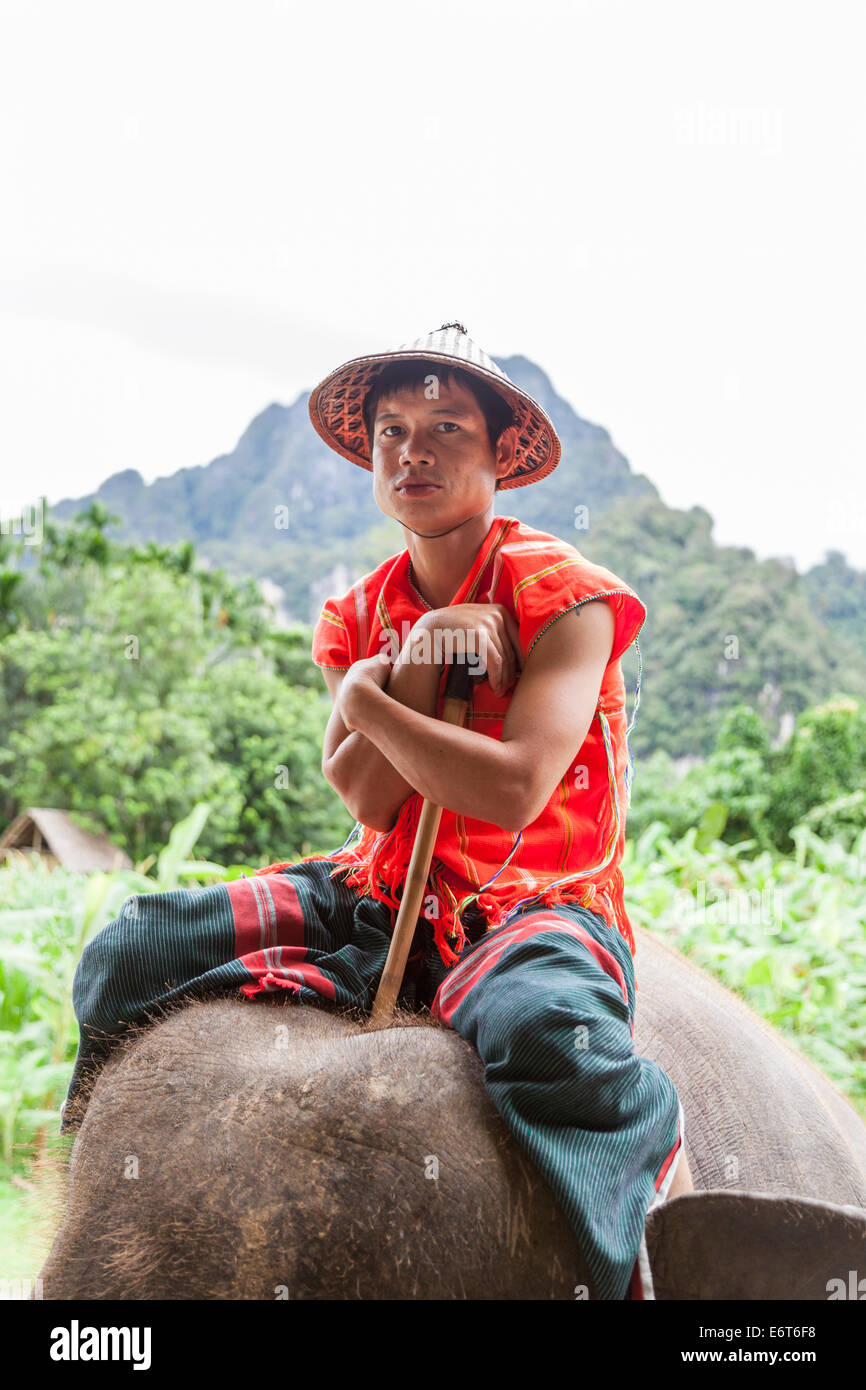 Local Thai hill tribesman wearing a conical hat and an orange shirt riding an Indian Elephant at Elephant Hills, Khao Sok National Park, Thailand Stock Photo