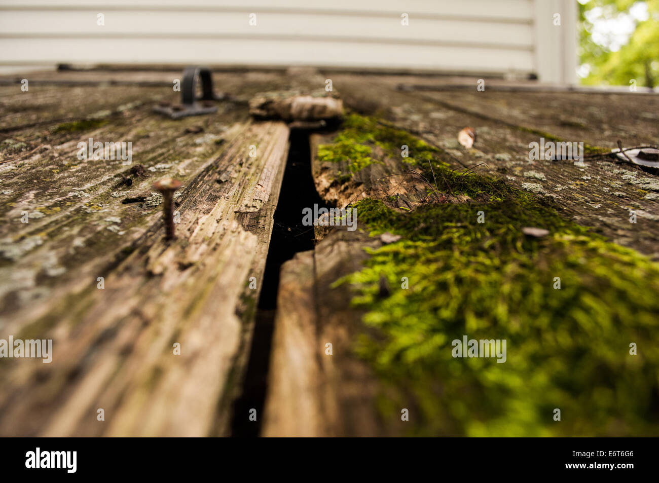 Storm cellar hires stock photography and images Alamy