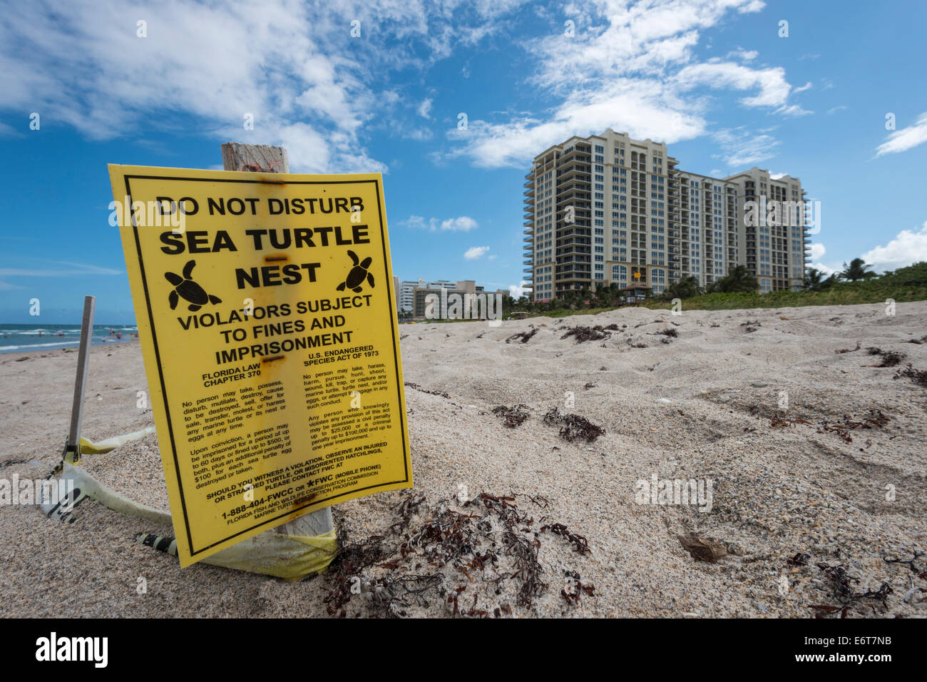 Protected Sea Turtle Nest on Singer Island, Florida, USA Stock Photo