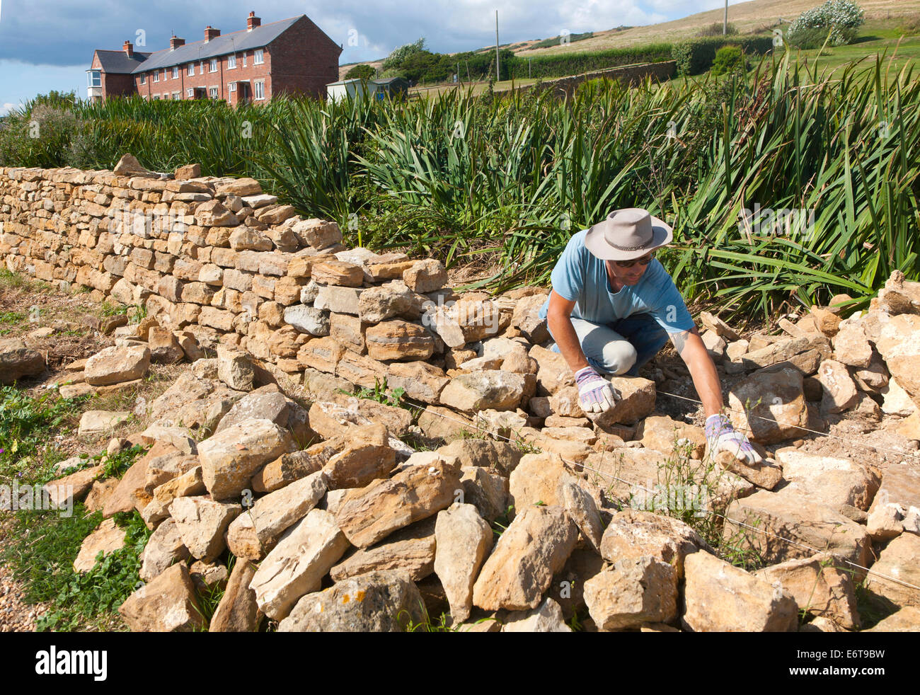 Man working building a dry stone wall near Abbotsbury, Dorset, England Stock Photo