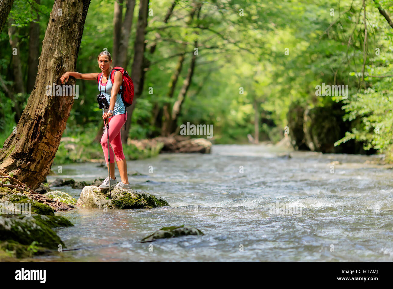 Young woman hiking in the forest Stock Photo - Alamy