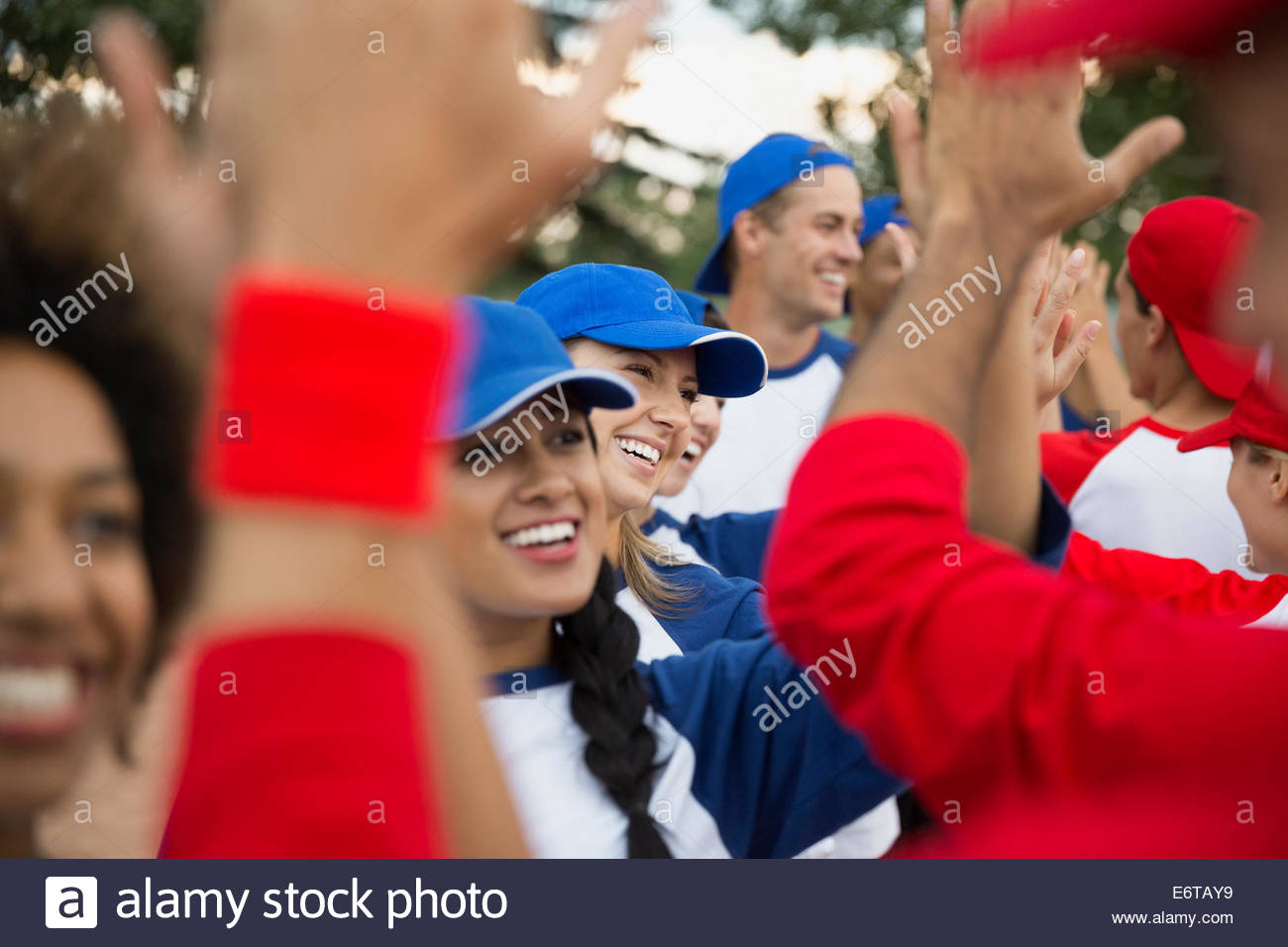 Baseball teams high filing on field Stock Photo Alamy
