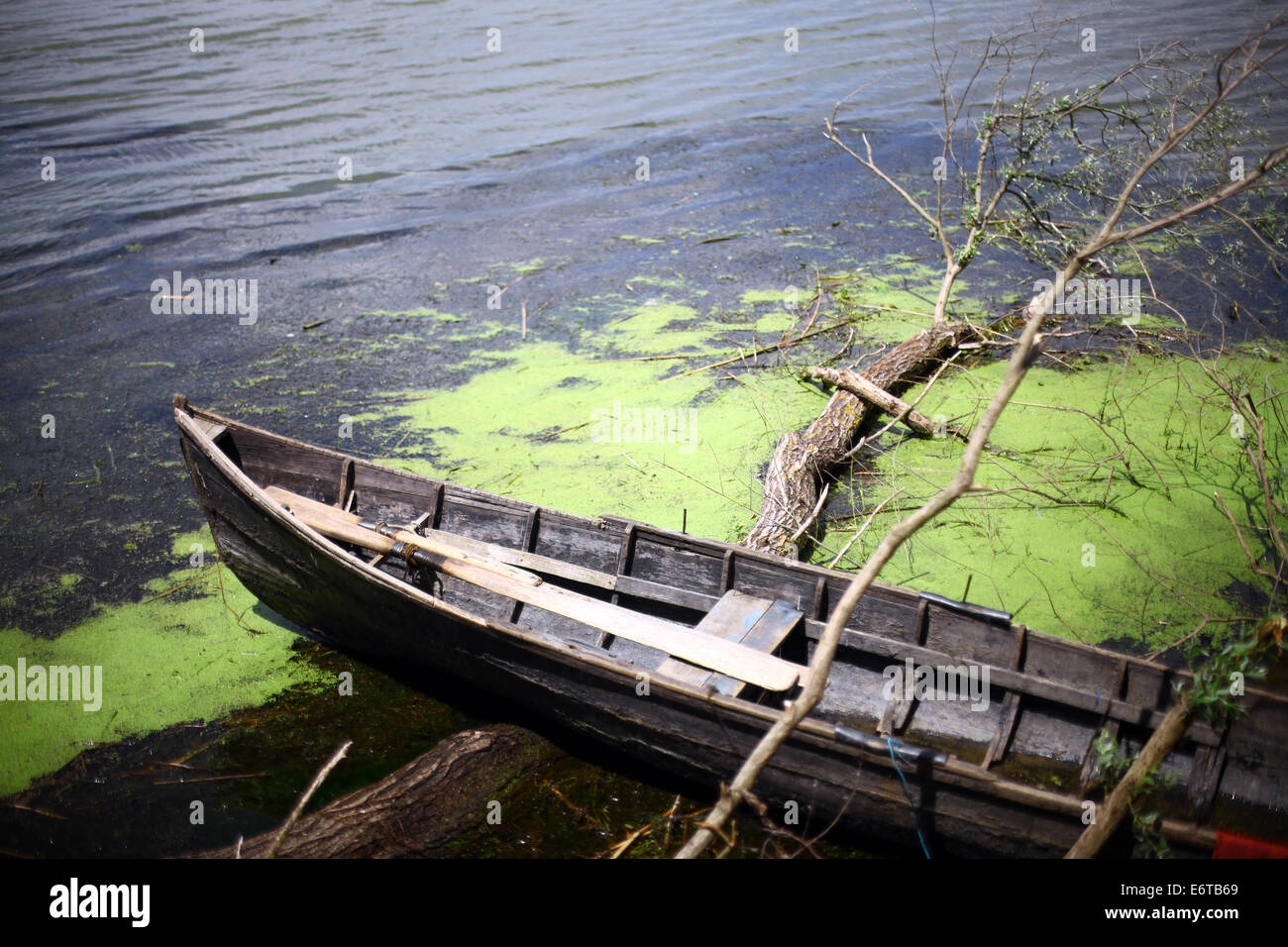 Color picture of a wooden boat on a river bank Stock Photo - Alamy