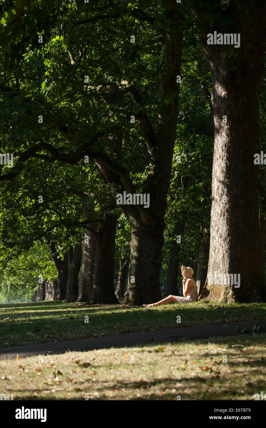 A young woman relaxing in Hyde Park next to a row of London Plane trees Stock Photo
