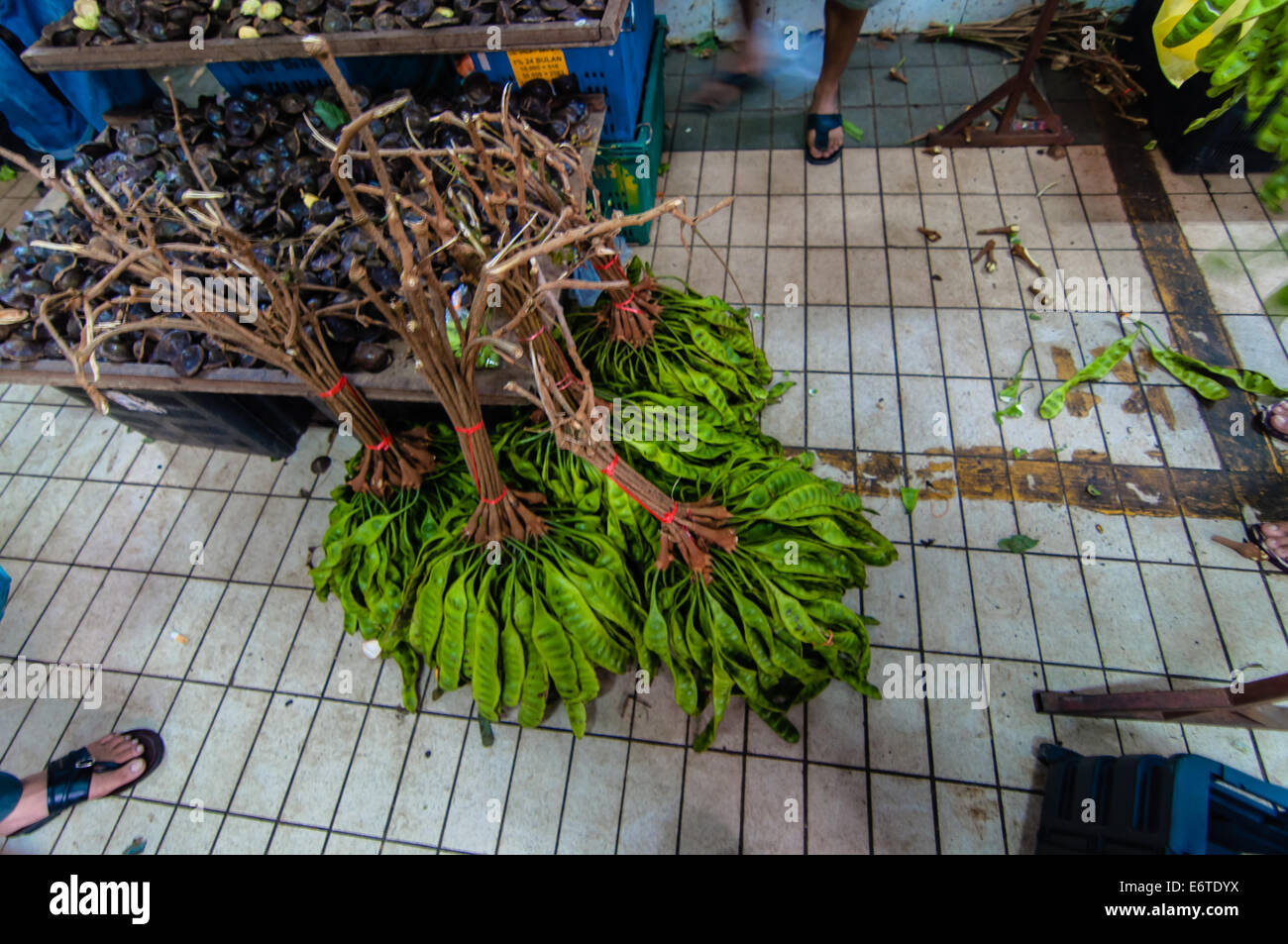 parkia speciosa or twisted cluster bean at wet market Stock Photo