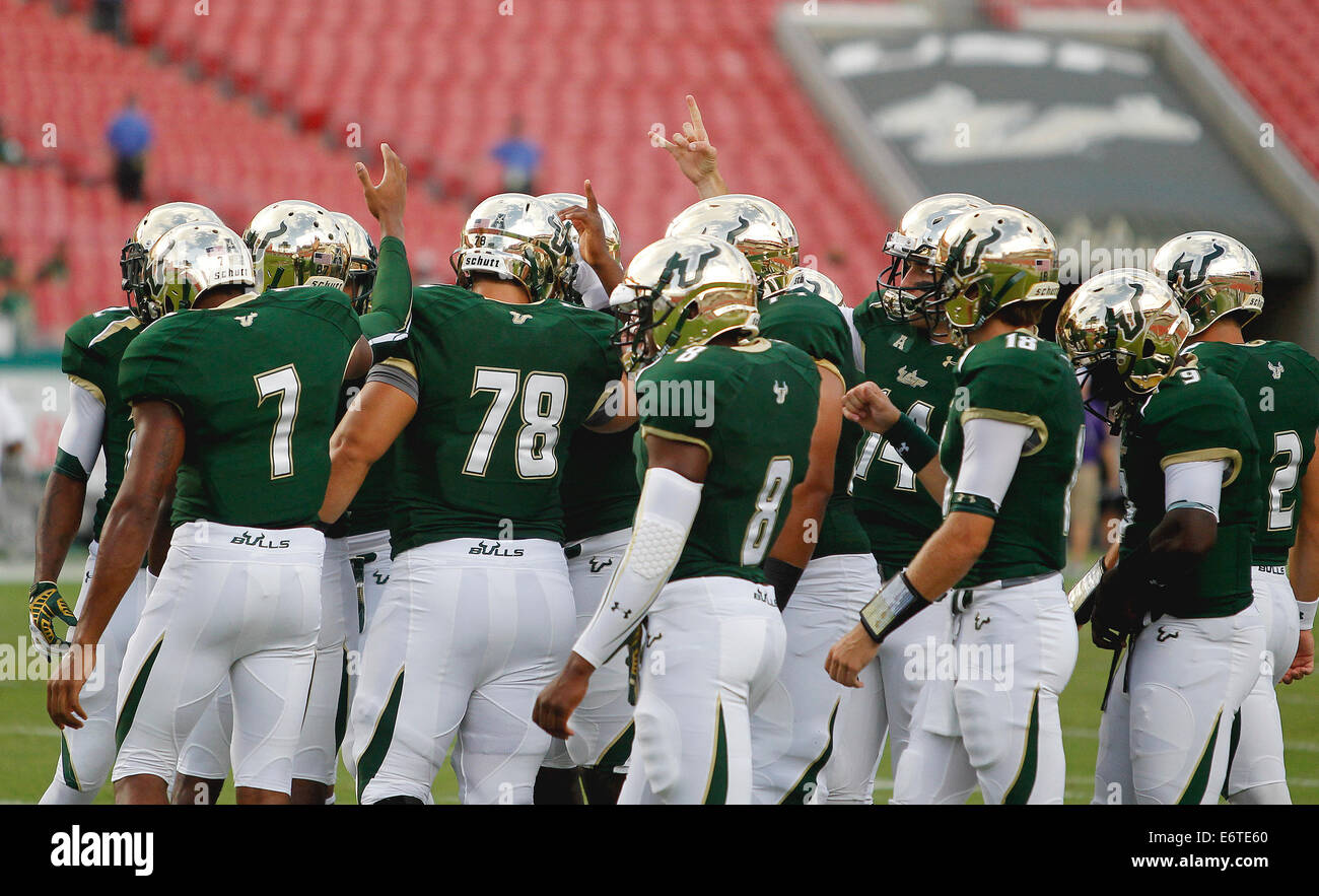 Florida, US. 30th Aug, 2014.The University of South Florida football