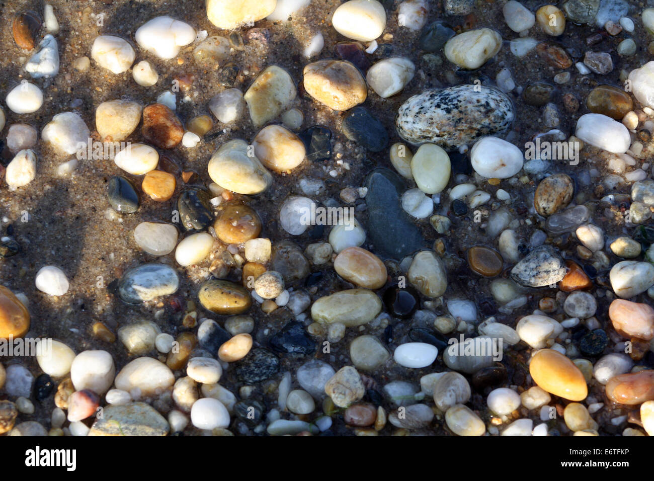 Colorful Stones on Shoreline of Gardiners Bay Atlantic Ocean Long Island New York Stock Photo