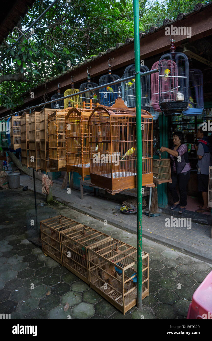 Yogyakarta, Java, Indonesia.  Caged Birds for Sale in the Bird Market. Stock Photo