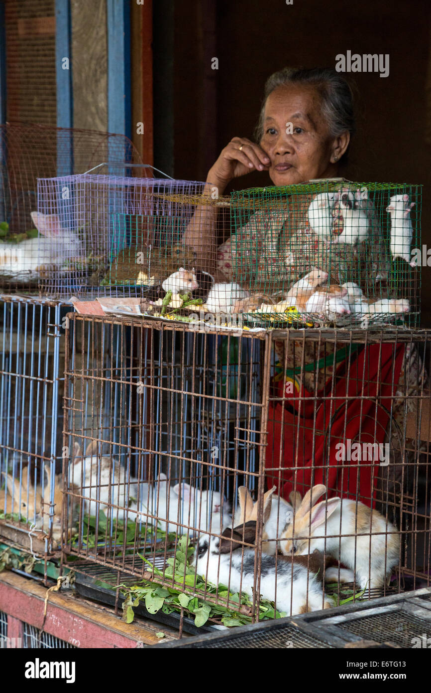 Yogyakarta, Java, Indonesia.  Woman Selling Rabbits and Hamsters in the Bird Market. Stock Photo