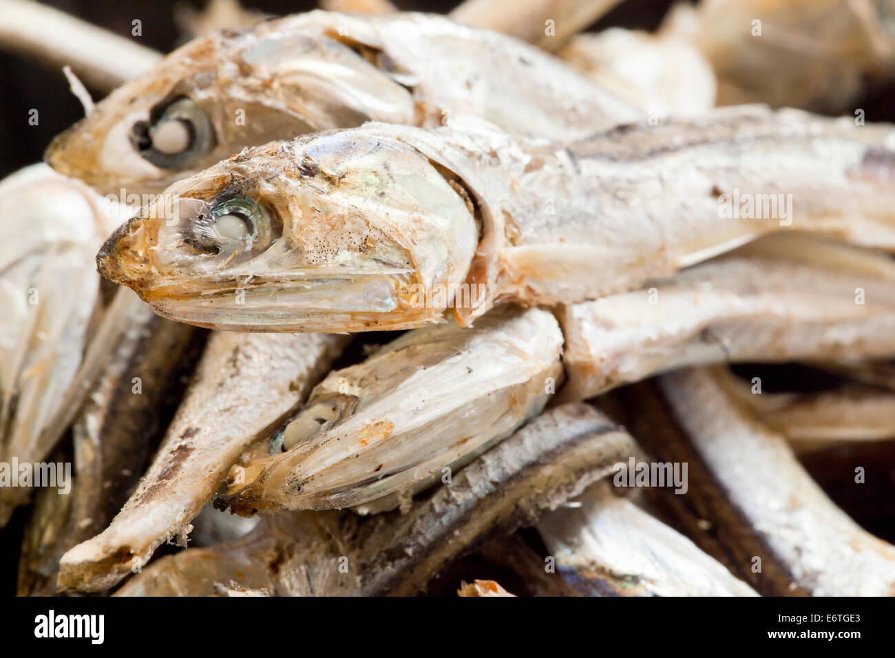 Dried Japanese anchovies (Engraulis japonicus) closeup Stock Photo Alamy